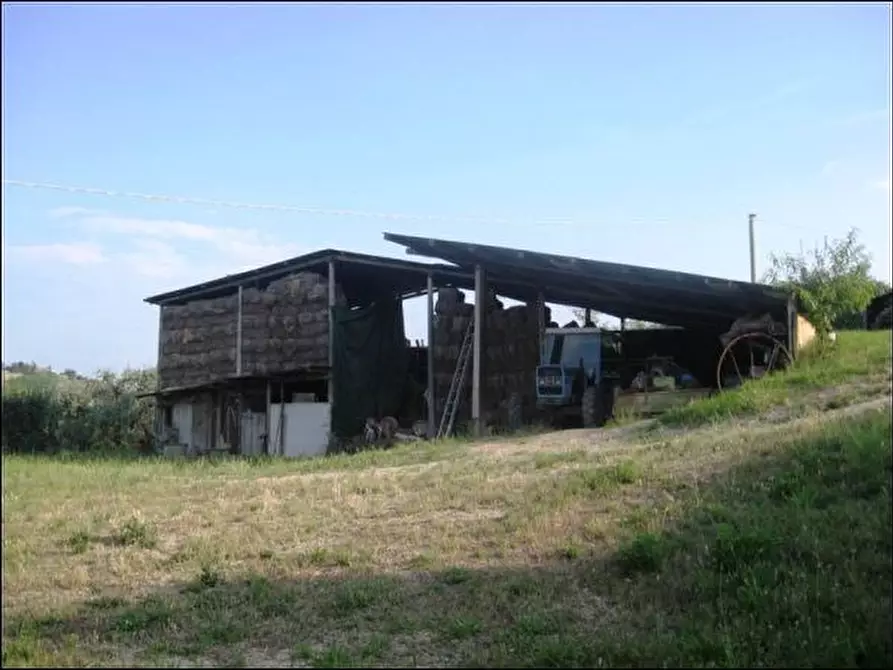 Immagine 10 di Rustico / casale in vendita  a Offida