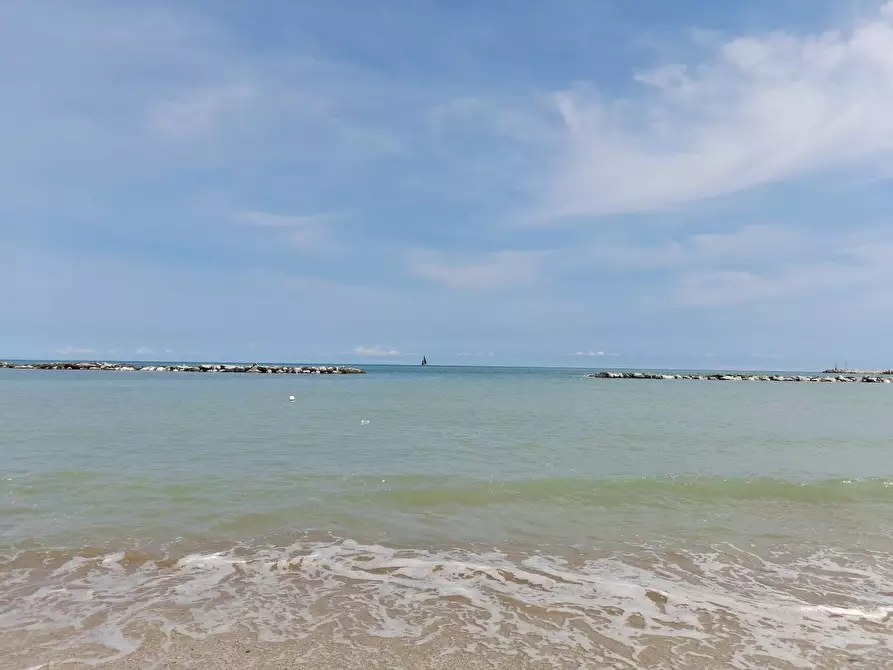 Immagine 15 di Attività commerciale in vendita  a Fano