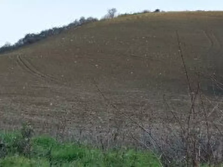 Immagine 29 di Casa indipendente in vendita  a Mondavio