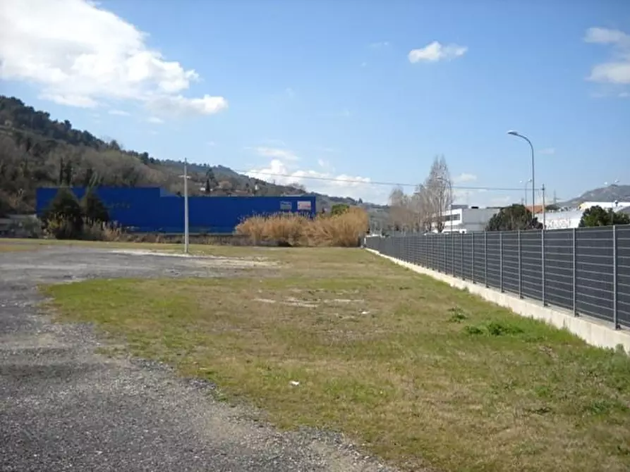 Immagine 3 di Terreno agricolo in affitto  a Grottammare