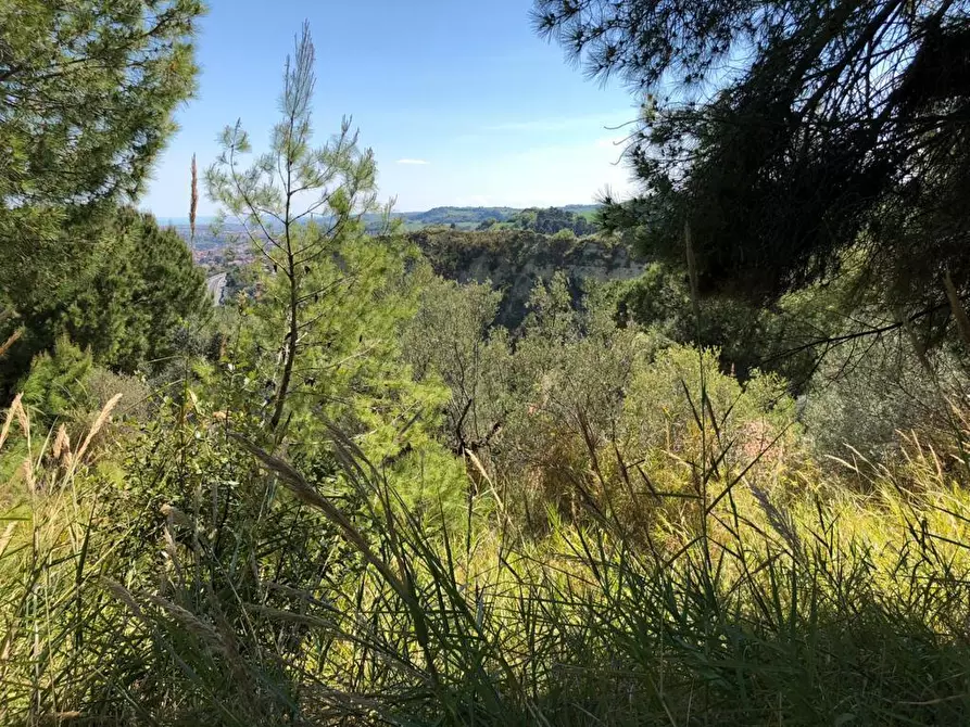 Immagine 6 di Terreno edificabile in vendita  a Grottammare