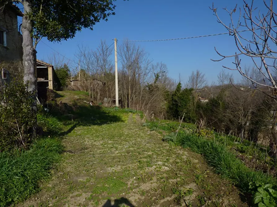 Immagine 12 di Rustico / casale in vendita  in case sparse a Venarotta