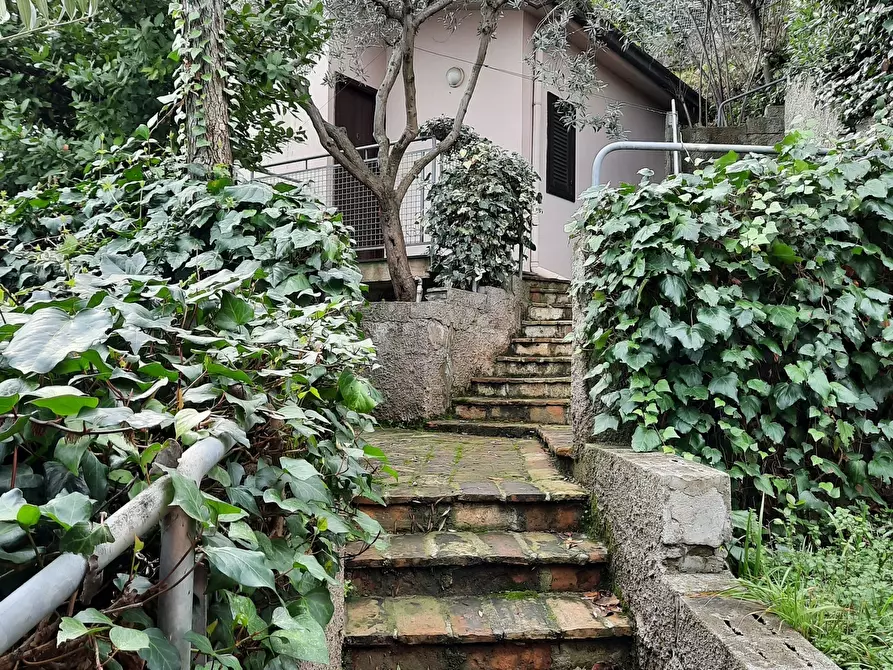 Immagine 22 di Attività commerciale in vendita  a Cupra Marittima