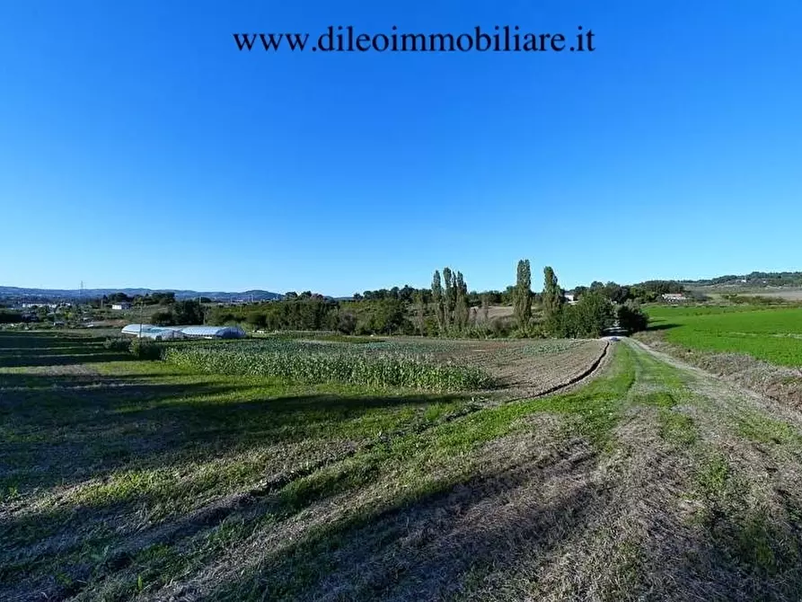 Immagine 1 di Terreno agricolo in vendita  a Pesaro