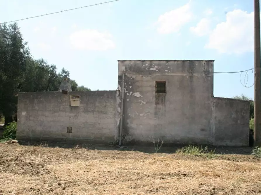 Immagine 18 di Terreno agricolo in affitto  in contrada mandrò a Cutrofiano