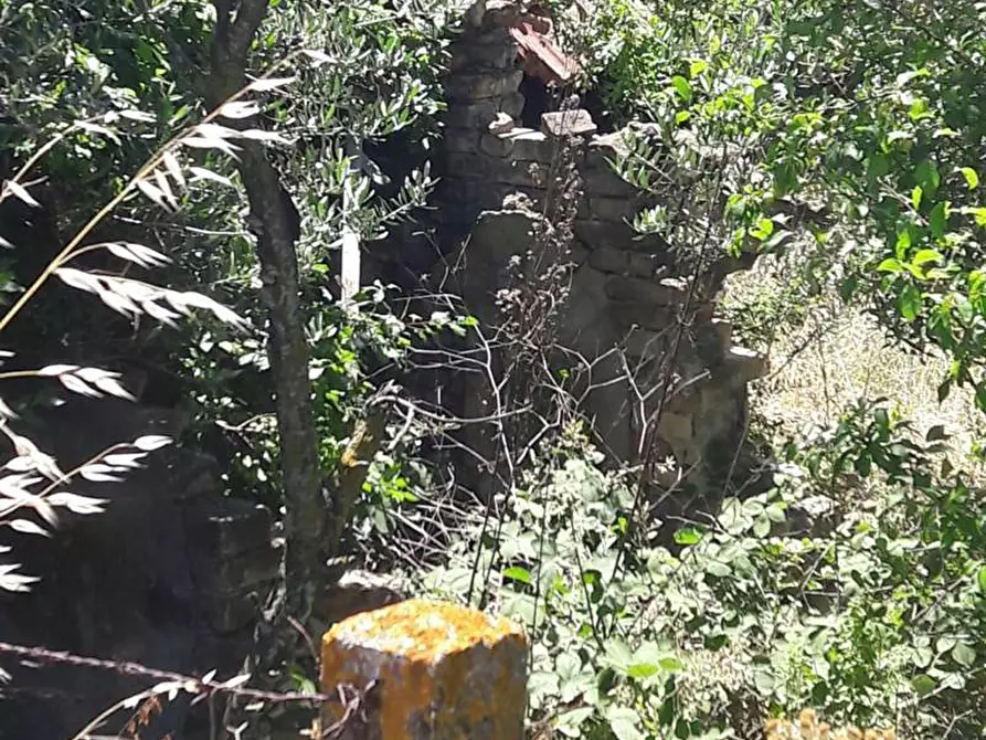 Immagine 13 di Rustico / casale in vendita  in Contrada Civita a Colonnella