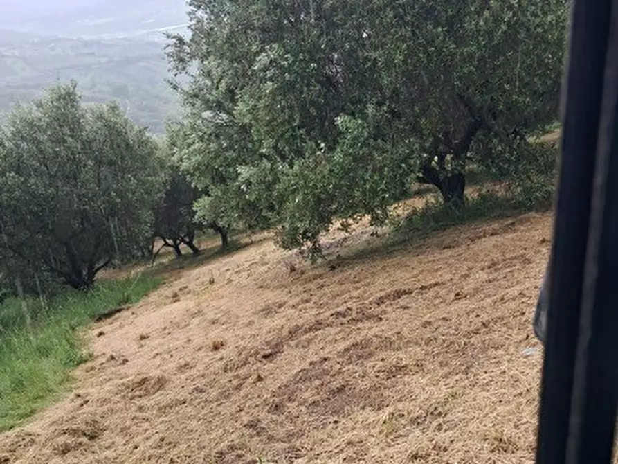 Immagine 10 di Terreno edificabile in vendita  a Colonnella