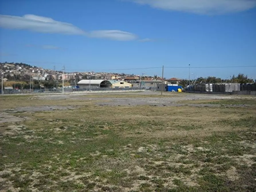 Immagine 13 di Terreno agricolo in affitto  a Grottammare