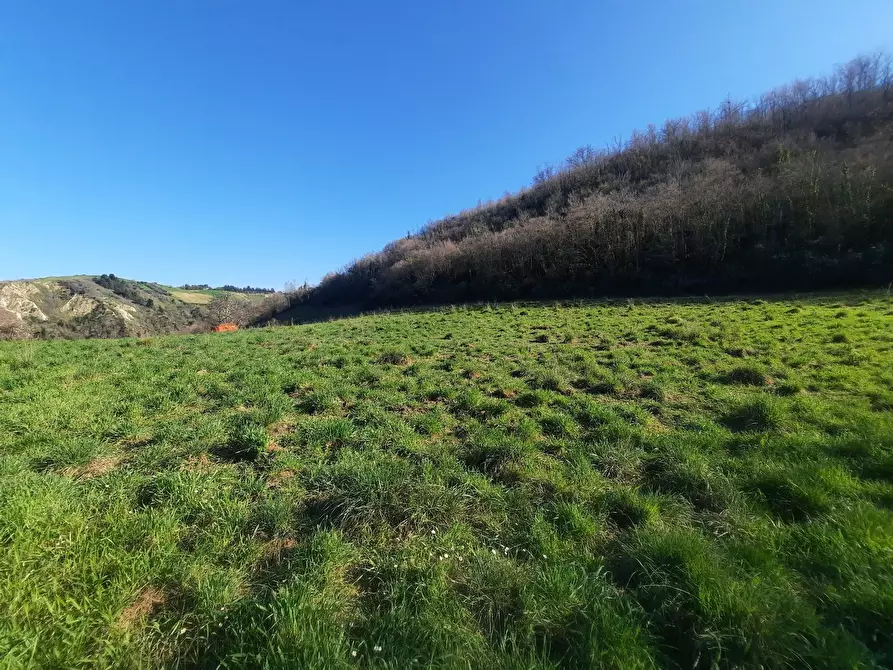 Immagine 9 di Casa indipendente in vendita  in cantina Cocci Grifoni a Ripatransone
