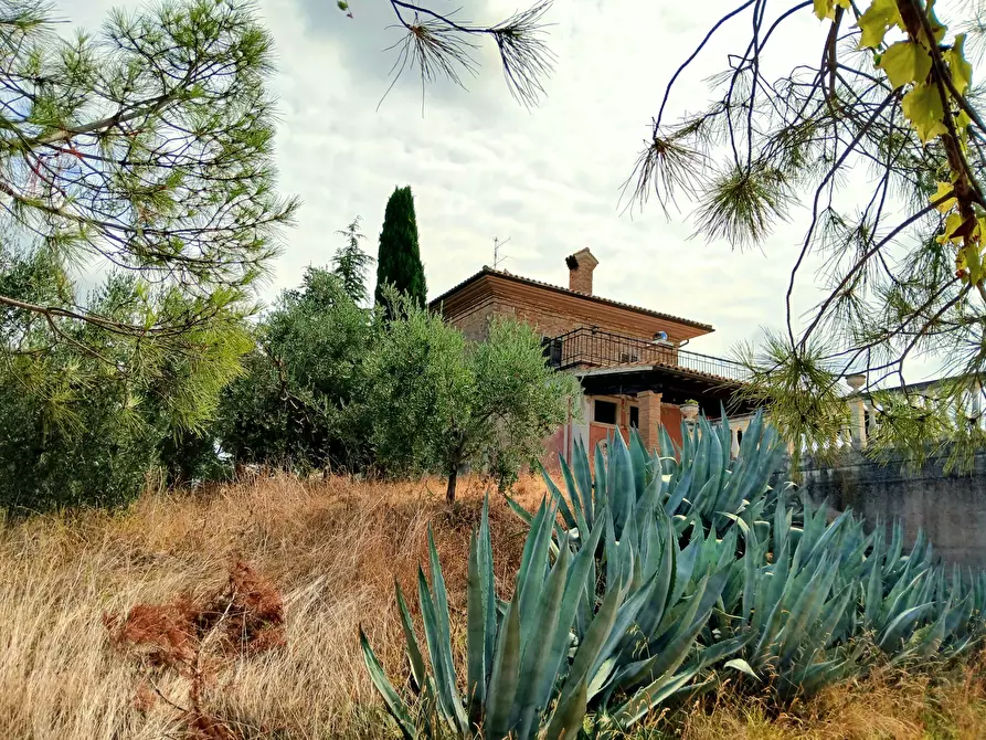 Immagine 61 di Casa indipendente in vendita  a Ancarano