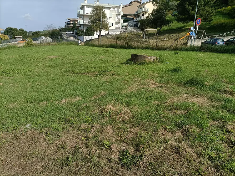 Immagine 8 di Terreno edificabile in vendita  a Acquaviva Picena