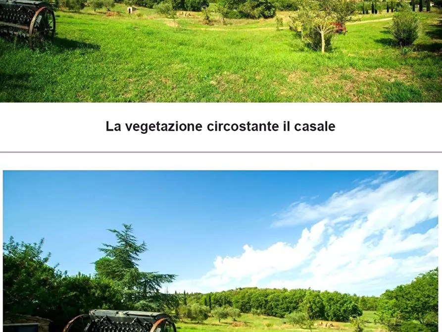 Immagine 11 di Casa vacanze in vendita  a Monterotondo Marittimo