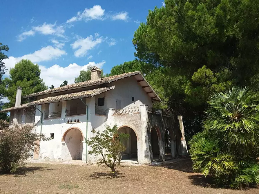 Immagine 12 di Casa indipendente in vendita  a Tortoreto