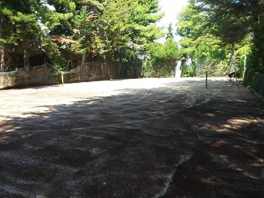 Immagine 36 di Terreno edificabile in vendita  a Tortoreto