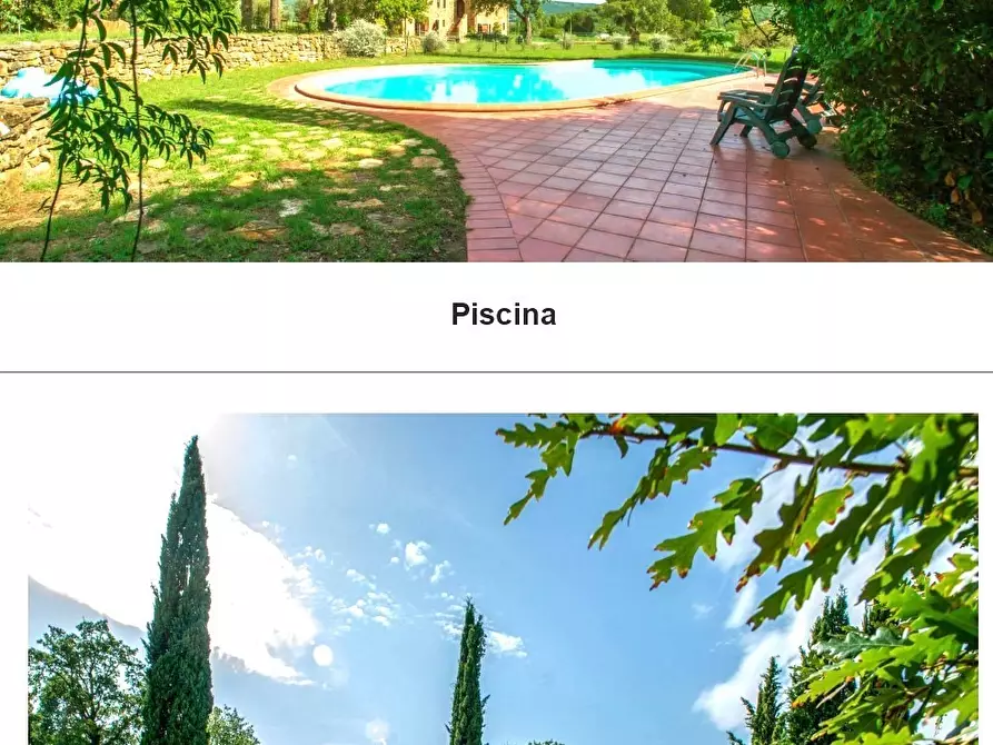 Immagine 3 di Casa vacanze in vendita  a Monterotondo Marittimo