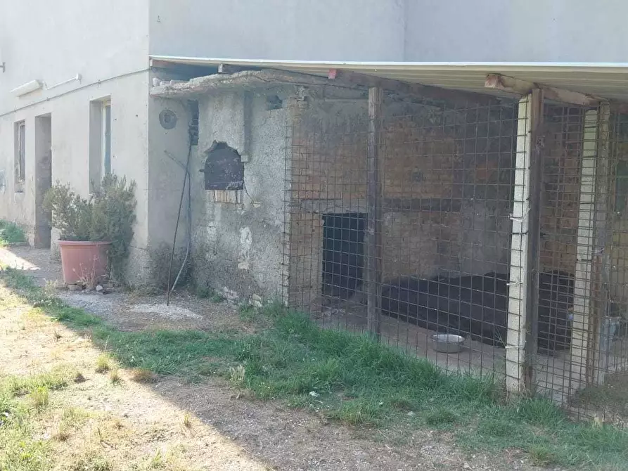 Immagine 7 di Casa indipendente in vendita  a Offida