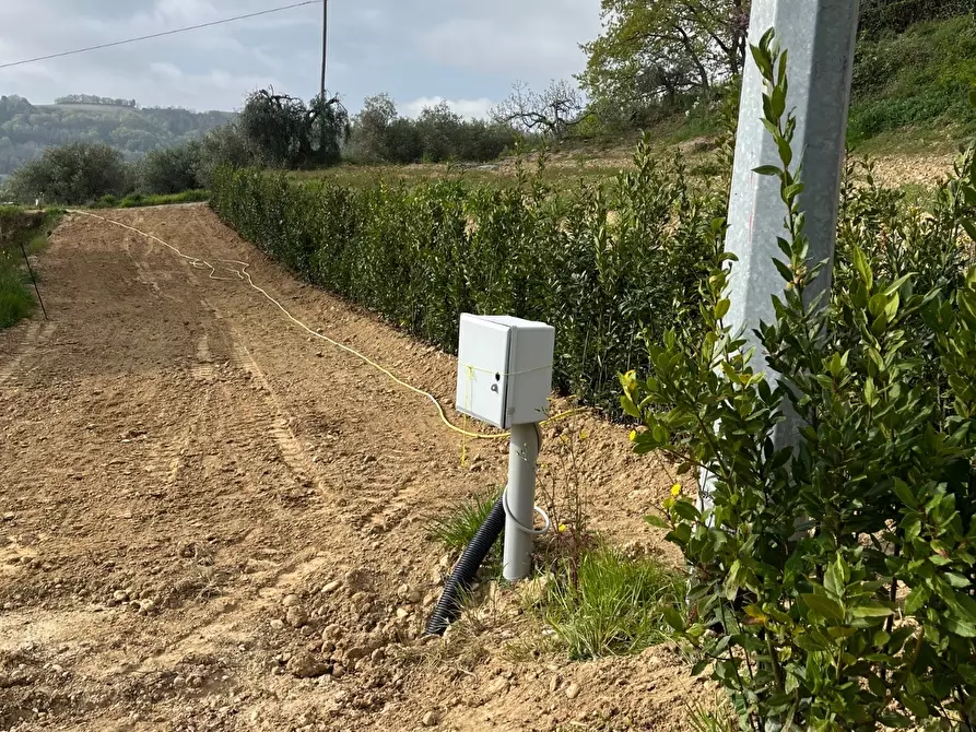 Immagine 26 di Rustico / casale in vendita  a Ripatransone