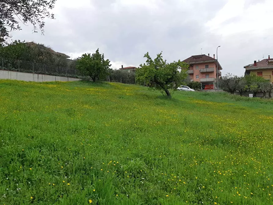 Immagine 4 di Terreno edificabile in vendita  a Appignano Del Tronto