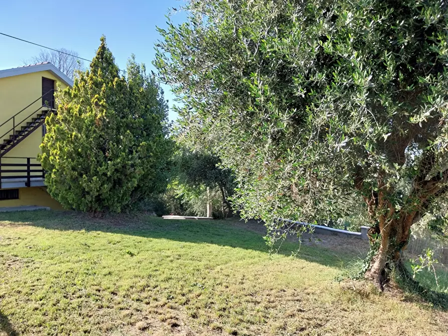 Immagine 5 di Casa indipendente in vendita  a Castorano