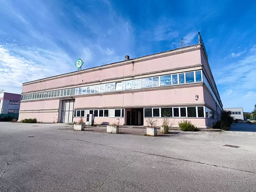 Immagine 2 di Capannone industriale in vendita  in via dell'industria 5-7 a Castelplanio