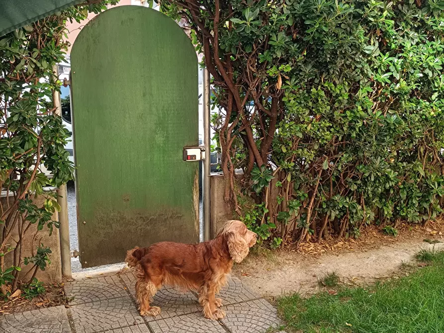 Immagine 51 di Appartamento in vendita  a San Benedetto Del Tronto