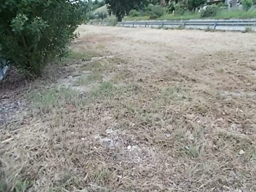 Immagine 4 di Terreno industriale in affitto  a Ripatransone