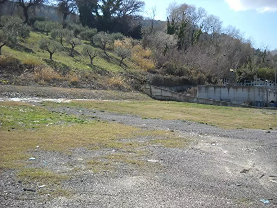 Immagine 8 di Terreno agricolo in affitto  a Grottammare