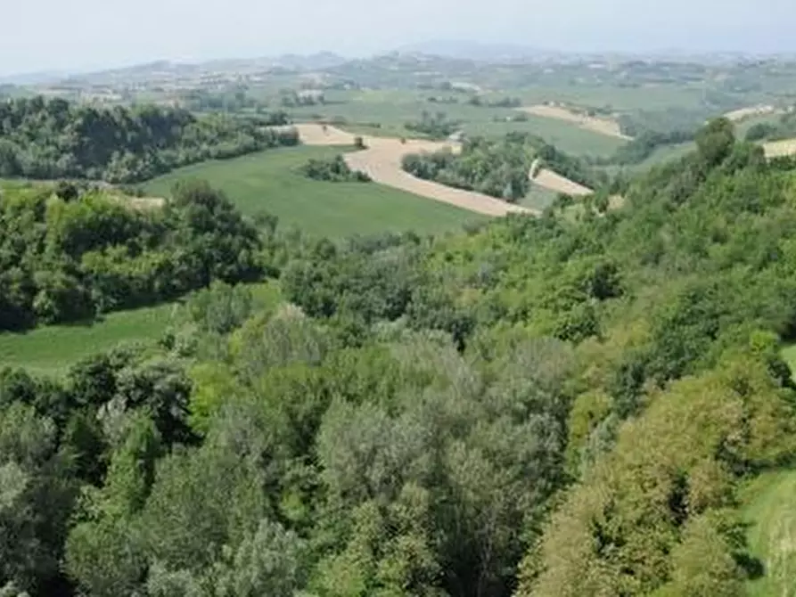 Immagine 3 di Azienda agricola in vendita  in periferia a Petritoli