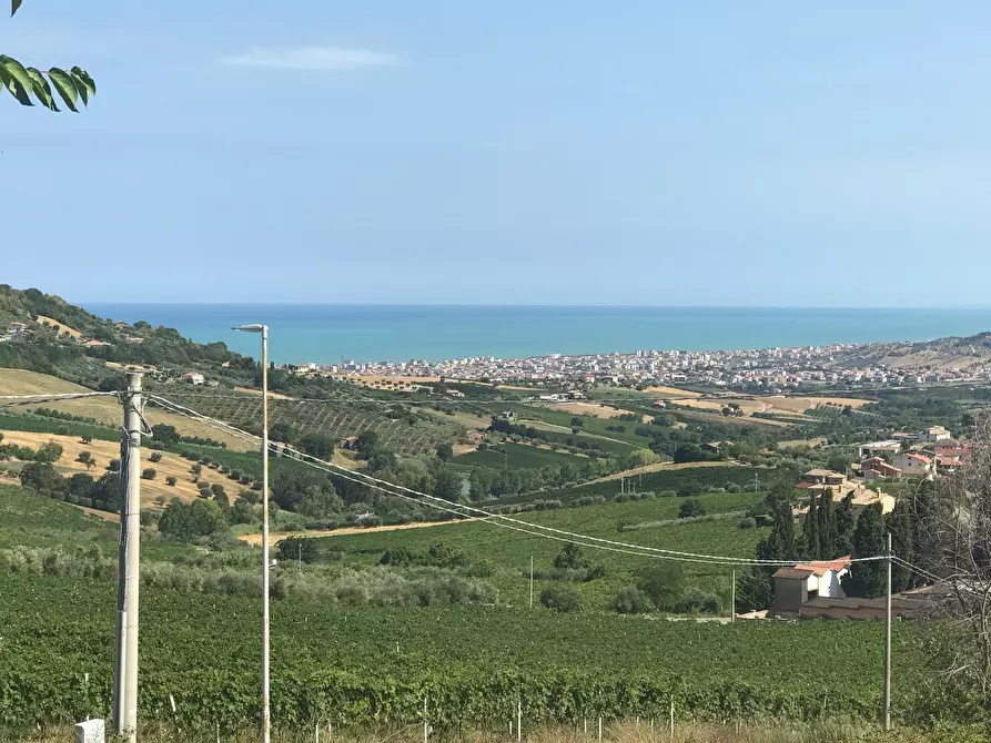 Immagine 5 di Terreno edificabile in vendita  a Colonnella