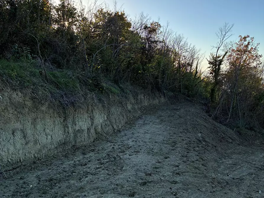 Immagine 17 di Casa indipendente in vendita  a Colonnella