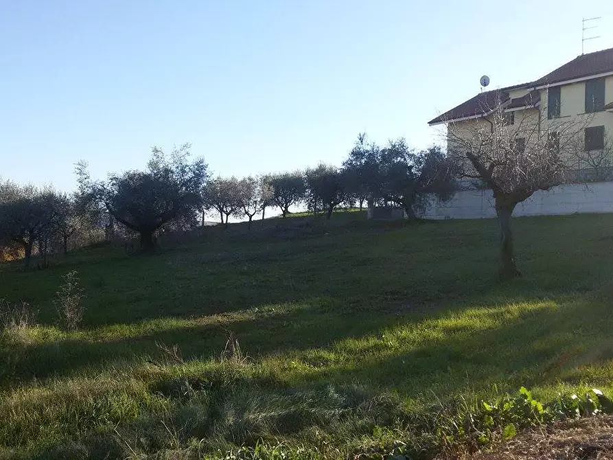 Immagine 2 di Terreno edificabile in vendita  a Appignano Del Tronto