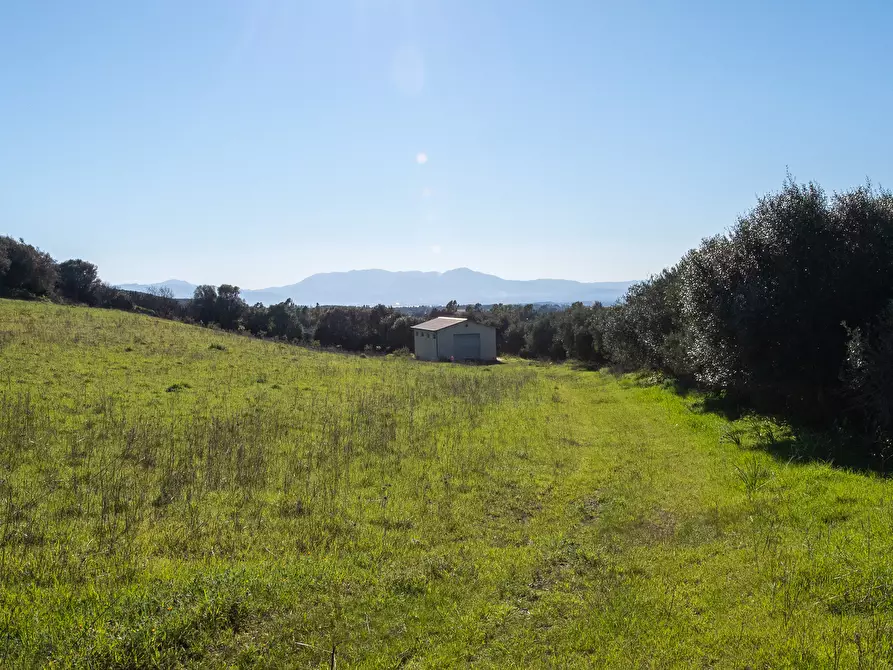 Immagine 41 di Villa in vendita  a Soleminis