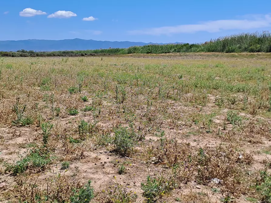 Immagine 8 di Terreno agricolo in vendita  a Quartu Sant'elena