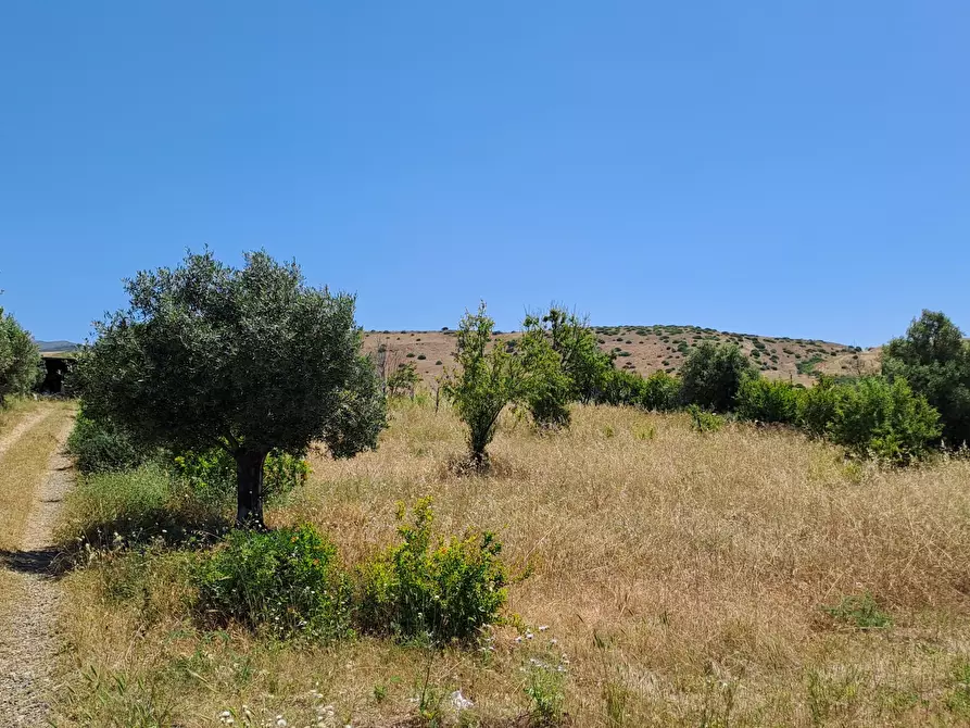Immagine 8 di Terreno agricolo in vendita  a Settimo San Pietro