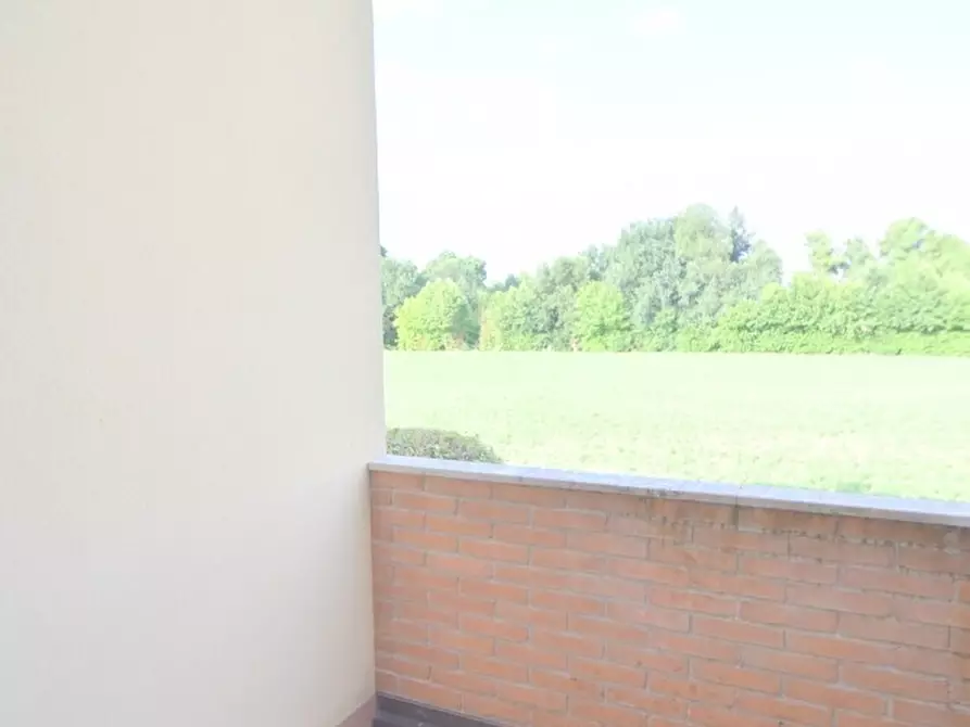 Immagine 17 di Appartamento in vendita  in Via A. Canova 26 a Gazzo Padovano
