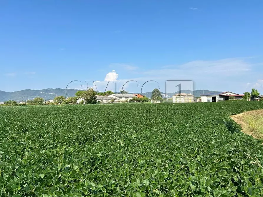 Immagine 6 di Terreno agricolo in vendita  in Via Volpara a Castegnero