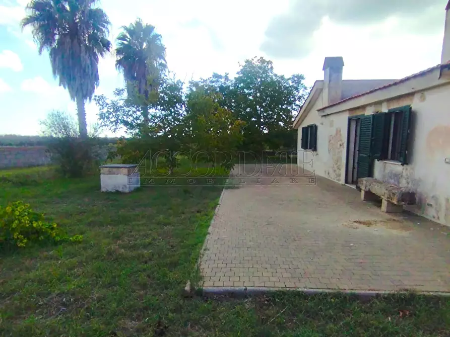 Immagine 12 di Casa indipendente in vendita  in Via Passo del Lupo 4 a Matino