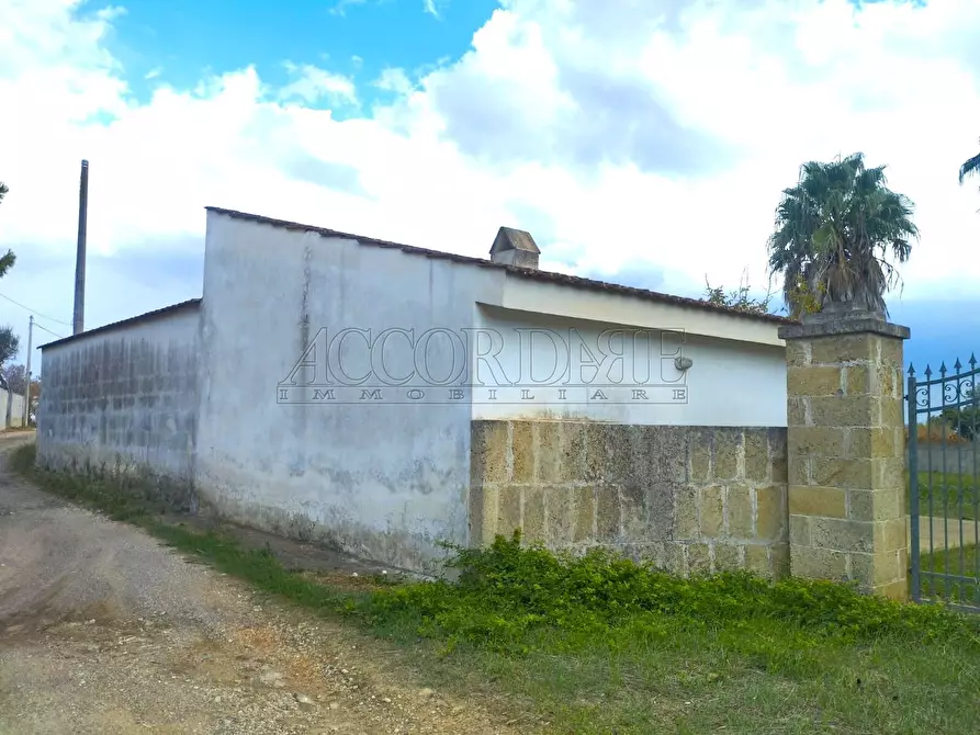 Immagine 18 di Casa indipendente in vendita  in Via Passo del Lupo 4 a Matino