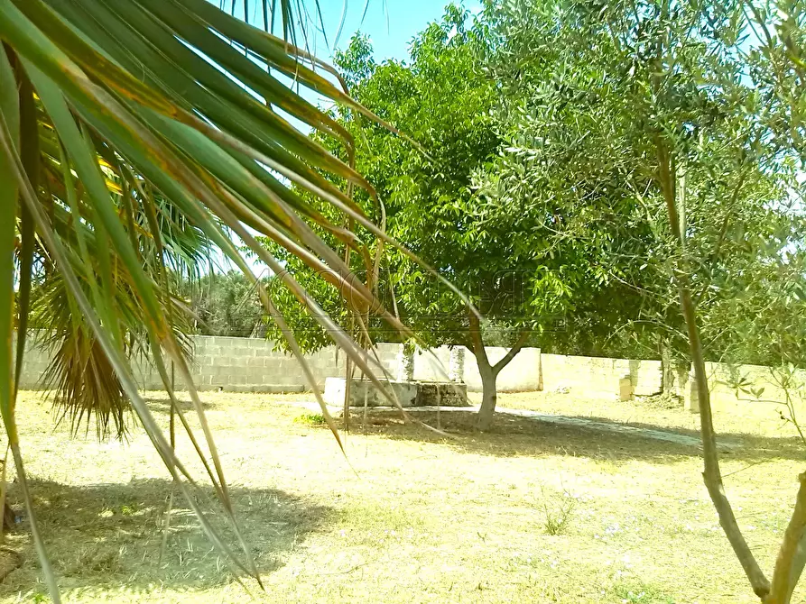 Immagine 14 di Casa indipendente in vendita  in Via Passo del Lupo 4 a Matino