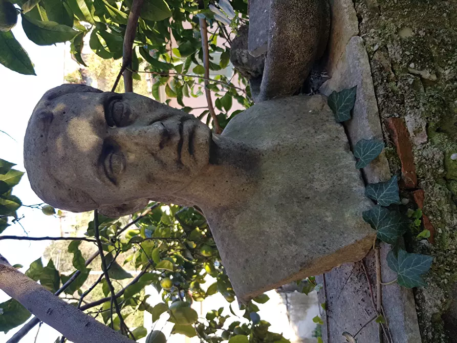 Immagine 60 di Villa in vendita  in Via Milazzo 65 a Carrara