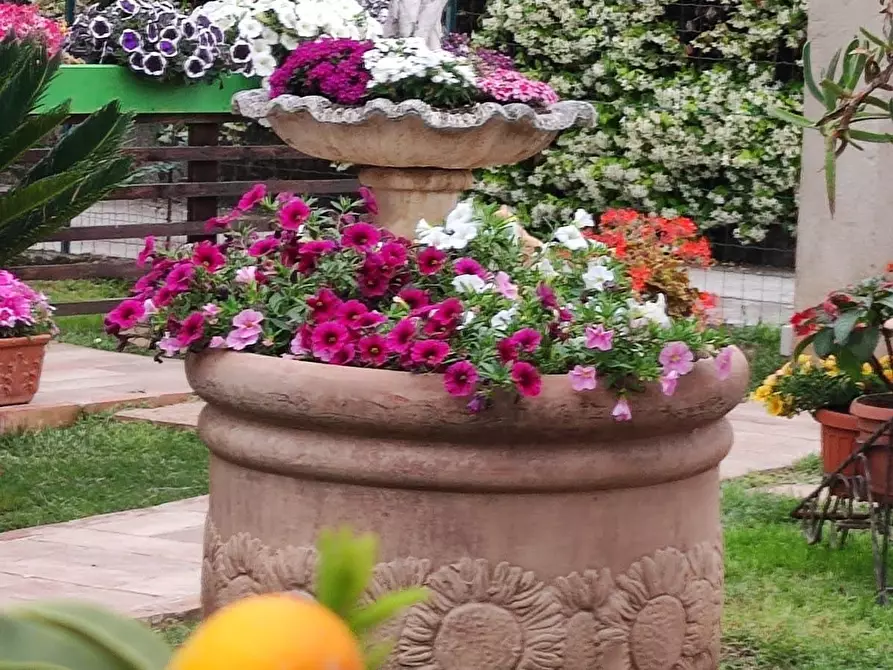 Immagine 34 di Casa bifamiliare in vendita  in Via Canale 193 a Castelnuovo Magra