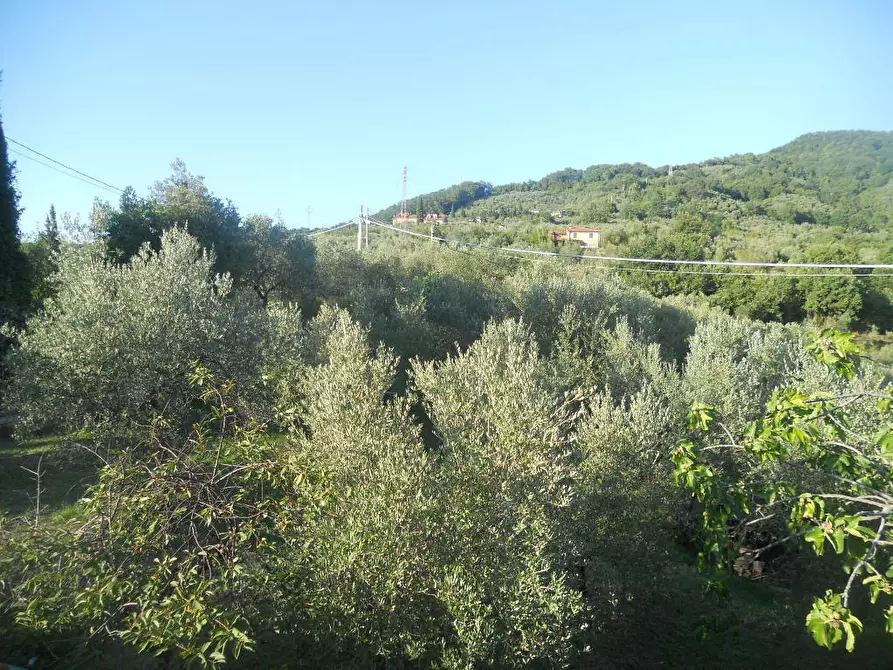 Immagine 7 di Villa in vendita  in Via Montefrancio 69 a Castelnuovo Magra