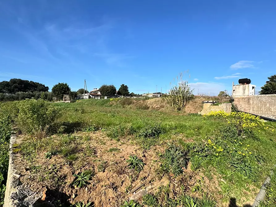 Immagine 9 di Terreno agricolo in vendita  in Via Monte Circeo 21 a San Felice Circeo