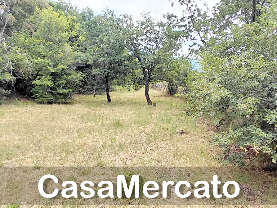 Immagine 11 di Terreno agricolo in vendita  a Rocca Di Papa