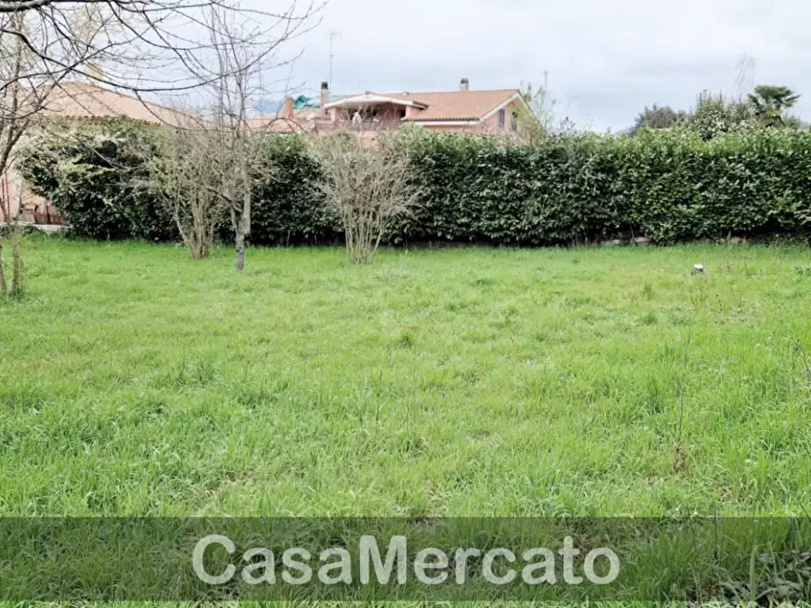 Immagine 10 di Terreno agricolo in vendita  in Via dei Castagni a Rocca Di Papa