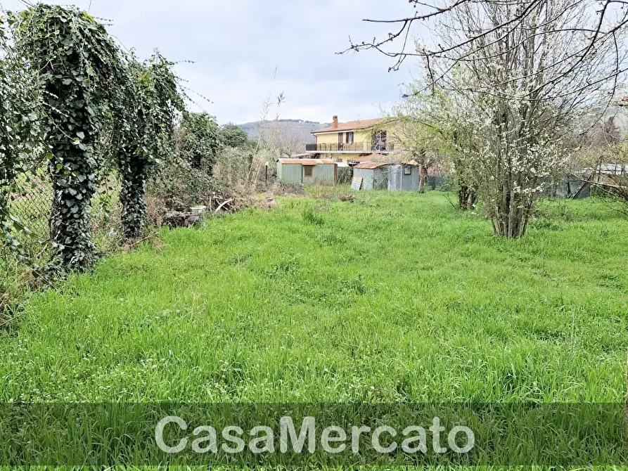 Immagine 5 di Terreno agricolo in vendita  in Via dei Castagni a Rocca Di Papa