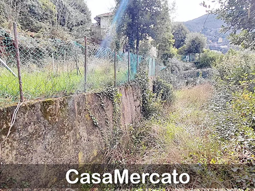 Immagine 23 di Trilocale in vendita  in Via Ovidio a Rocca Di Papa
