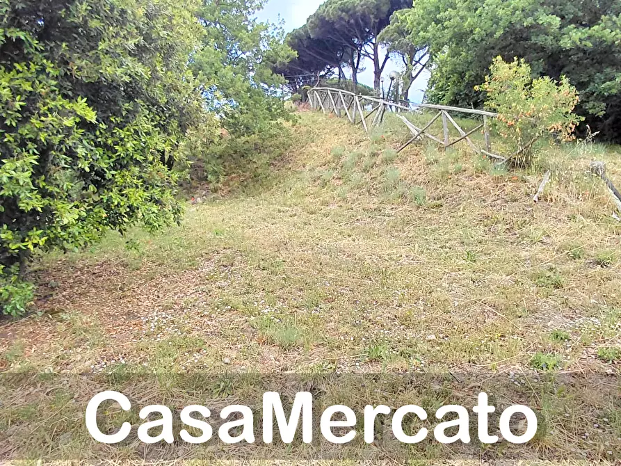 Immagine 12 di Terreno agricolo in vendita  a Rocca Di Papa