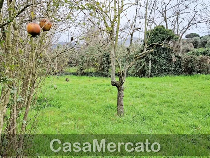 Immagine 8 di Terreno agricolo in vendita  in Via dei Castagni a Rocca Di Papa