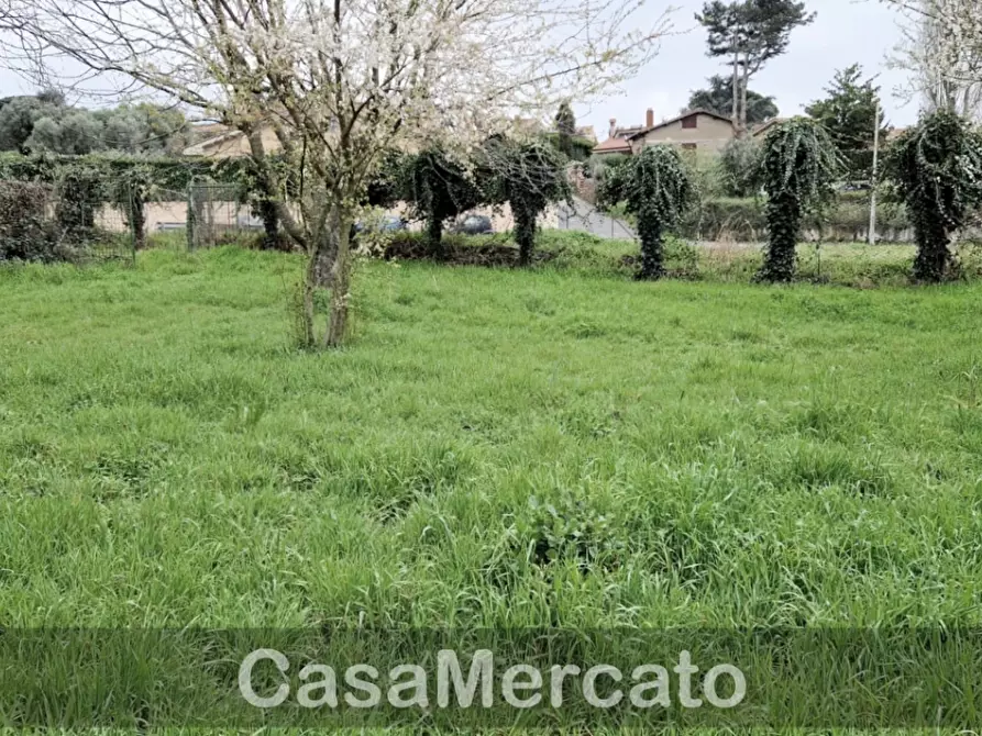 Immagine 3 di Terreno agricolo in vendita  in Via dei Castagni a Rocca Di Papa